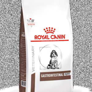Gastro-Intestinal Puppy - 4