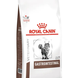 Gastro-Intestinal Feline - 4