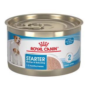 Starter Mousse lata - 0.15