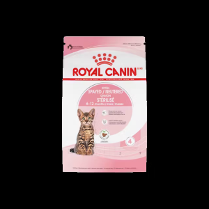 Kitten Spayed - 1.14