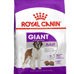 Giant adult - 13.61