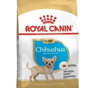 BHN Chihuahua Puppy - 1.14