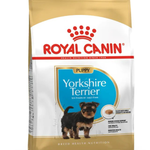 BHN Yorkshire Terrier Puppy - 1.14