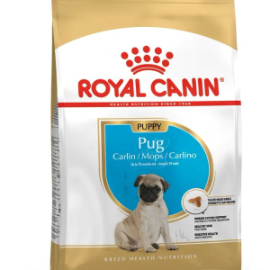 BHN Pug Puppy - 1.14