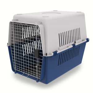 SP3809 Almohadillas entrenadoras con 15pza - 1 pza
